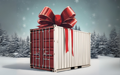 The Gift of Organization: Why A Shipping Container Make the Perfect Present