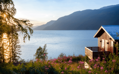 Vacation Property Storage: Keep Your Cabin Organized with a Sea Can