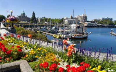 Moving in Victoria BC: A Smarter, More Flexible Way to Move
